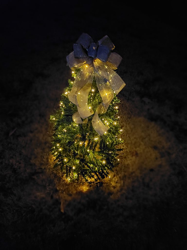 Chic Tomato Cage Christmas Tree