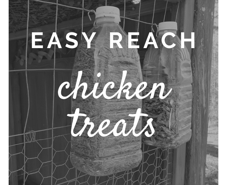 Easy-Reach Chicken Treats